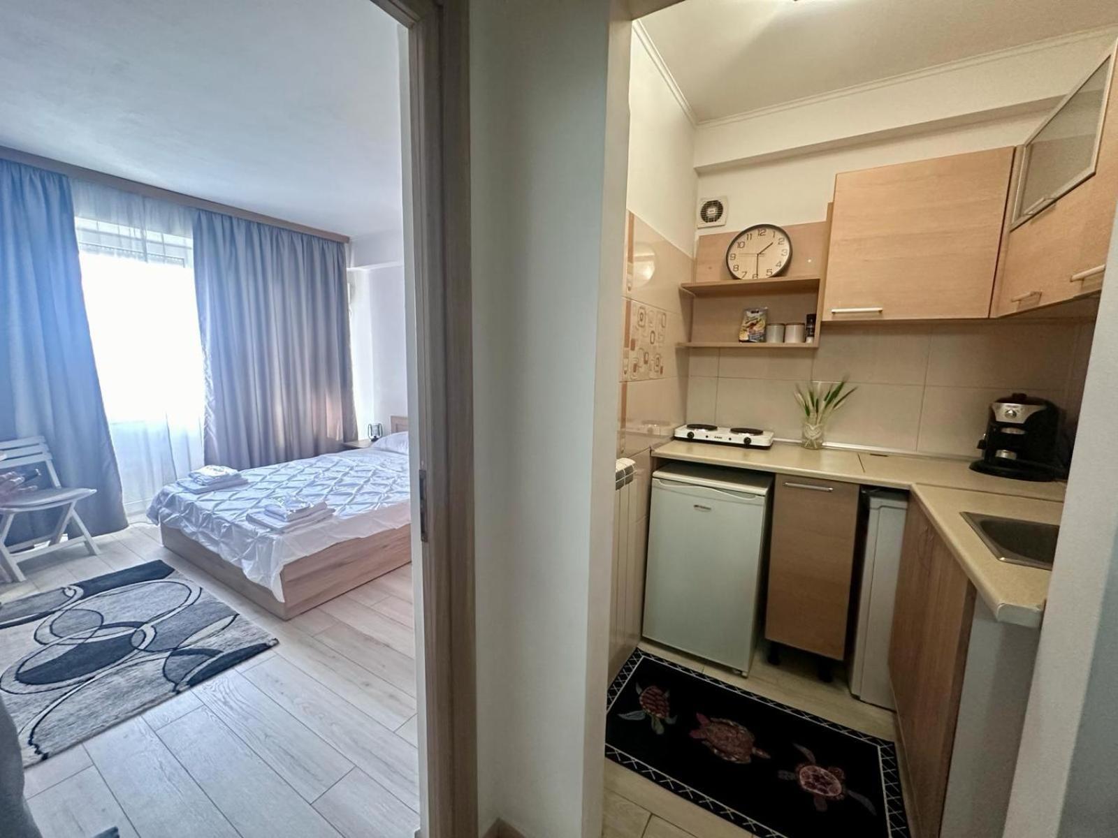 Downtown Studio Calea Victoriei Ultracentral بوخارست المظهر الخارجي الصورة